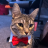 tsinsandro_